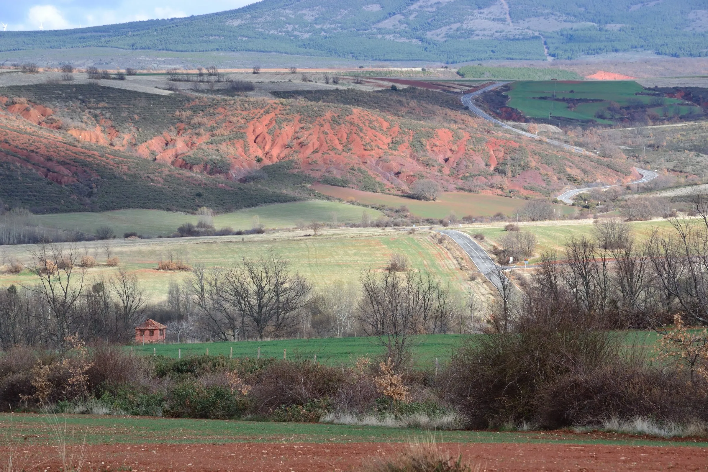 Las cárcavas de rodeno sobre los campos de Villacorta, la tierra roja de la que sale el apodo de sus vecinos