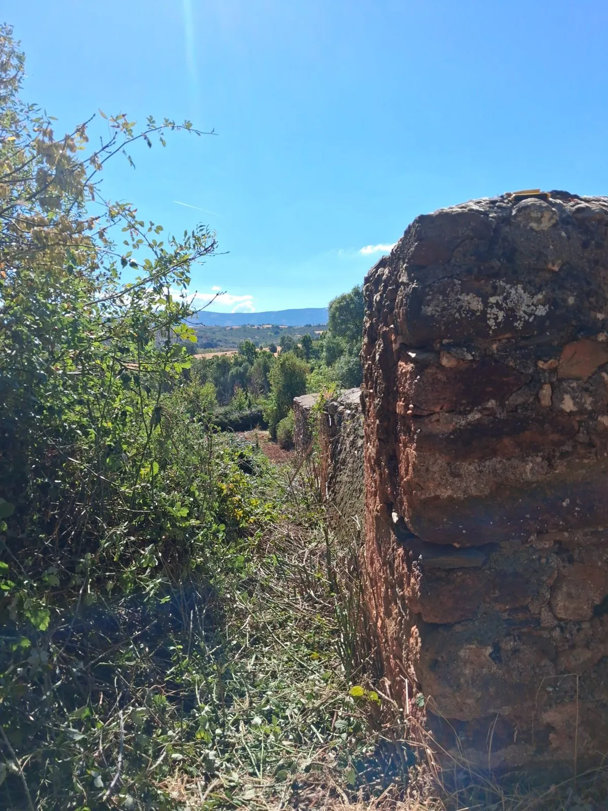La tapia del cementerio vista desde fuera, entre zarzas y matorral, con el valle al fondo