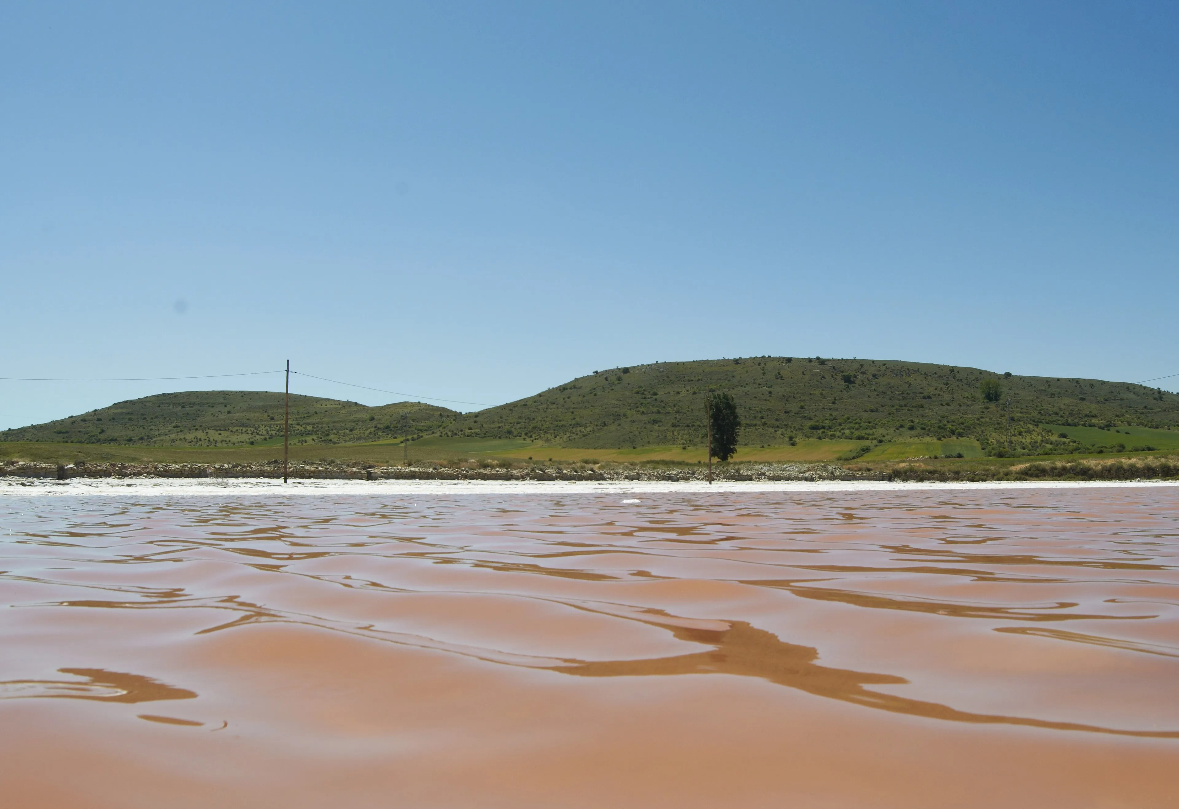 Una alberca de salmuera rosa hasta el horizonte, con dos cerros verdes detrás y el cielo azul