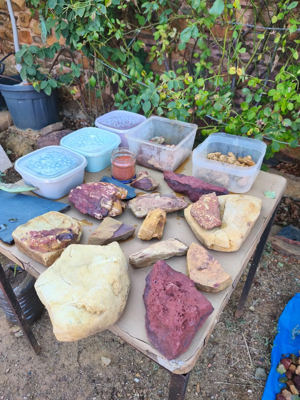 Una mesa con rocas del término de Villacorta colocadas una al lado de otra: areniscas amarillas, bloques rojos y lascas de pizarra negra